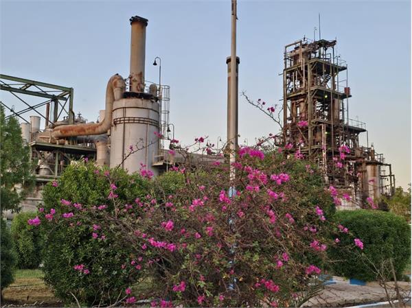 گرمای تیرماه هم مانع رشد تولید و افزایش درآمد پتروشیمی فارابی نشد.